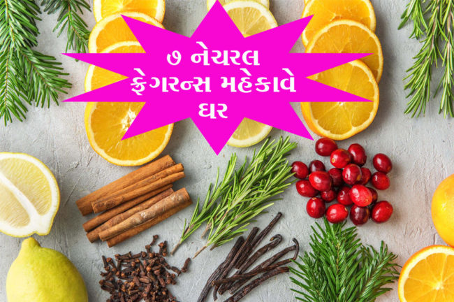 ૭ નેચરલ ફ્રેગરેન્સ મહેકાવે ઘર