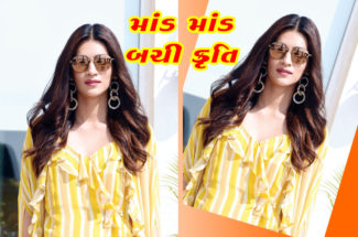 માંડ માંડ બચી કૃતિ