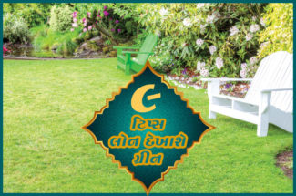 ૯ ટિપ્સ લોન દેખાશે ગ્રીન