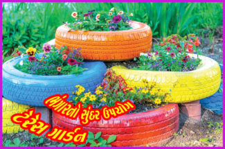 ભંગારનો સુંદર ઉપયોગ ટેરેસ ગાર્ડન